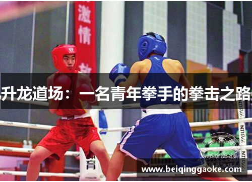 升龙道场：一名青年拳手的拳击之路