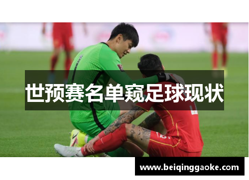 世预赛名单窥足球现状
